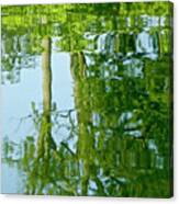 Spring Greenery Reflections Canvas Print