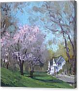 Spring In J C Saddington Park Canvas Print