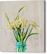 Spring In The Country Canvas Print