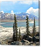 Spring In The Wrangell Mountains Canvas Print