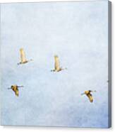 Spring Migration 3 - Textured Canvas Print