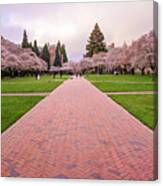 Spring Morning At The Quad Canvas Print