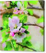 Spring On A Branch Canvas Print