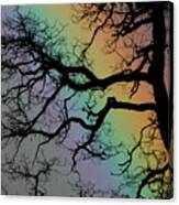Spring Rainbow Canvas Print