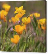 Spring Softly Calling Canvas Print