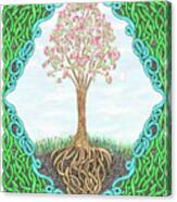 Spring Tree With Knotted Roots And Knotted Border Canvas Print