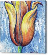 Spring Tulip Canvas Print