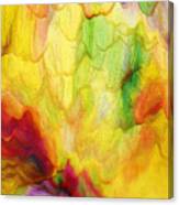 Spring Two 030216 Canvas Print