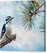 Spring Woodpecker Canvas Print