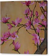 Springtime Magnolia Canvas Print