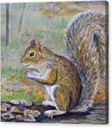 Spunky Squirrel Canvas Print