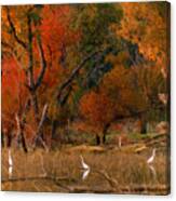 Squaw Creek Egrets Canvas Print