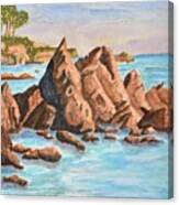 Squid Rock Canvas Print