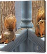 Squirrels Balancing On A Railing Canvas Print
