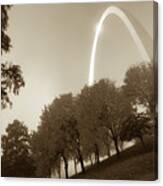 St. Louis Arch Behind The Trees - Sepia Canvas Print