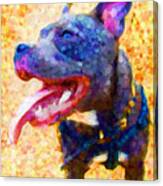 Staffordshire Bull Terrier In Oil Canvas Print
