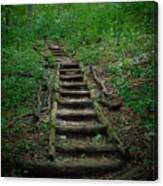 Stairway At Unicoi Gap On The At Canvas Print