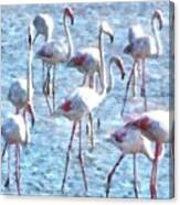 Stand Out In The Crowd Flamingo Watercolor Canvas Print