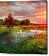 Standing Tall At Sunset Canvas Print