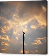Stands Alone Canvas Print