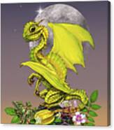 Star Fruit Dragon Canvas Print