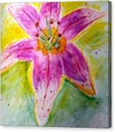 Stargazer Lily In The Garden Canvas Print