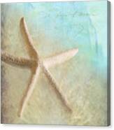 Starfish Canvas Print