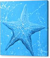 Starfish In Blue Canvas Print