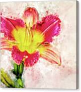 Stargazer Lily Canvas Print