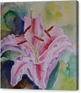 Stargazer Lily Watercolor Still Life Gift Canvas Print