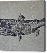 Steelhead Salmon - Smoked Salmon Canvas Print