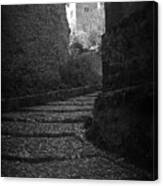 Steep Walk To The Tower Canvas Print