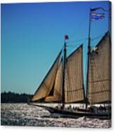 Stephen Taber Canvas Print