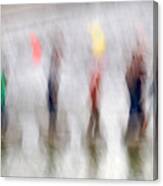 Stepping Stones Canvas Print