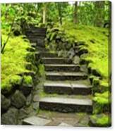 Steps To Serenity Canvas Print