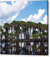 Stick Marsh In Fellsmere Florida Canvas Print