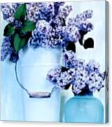 Still Life Of Lilacs Canvas Print