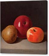 Still Life With Fruit Canvas Print