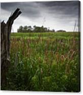 Storm Clouds Over Marsh Canvas Print