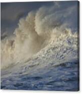 Storm Waves Canvas Print