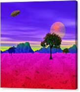 Strangely Place Canvas Print