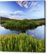 Strawberry River With Summer Flowers. Canvas Print