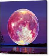 Strawberry Solstice Moon Canvas Print