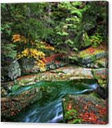 Stream In Autumn Forest Of Karkonosze Mountains Canvas Print