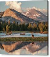 Striking A Pose Canvas Print