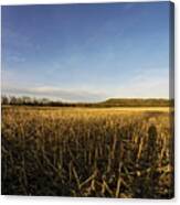 Stubble Field Canvas Print