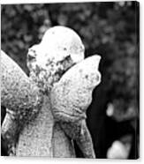 Stubby Little Wings Bw Canvas Print