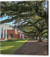 Student Union Oaks Canvas Print