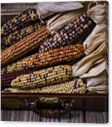 Suitcase Full Of Indian Corn Canvas Print