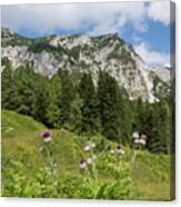Summer In The Slovenian Alps Canvas Print